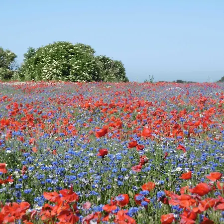 Idyllisch Gelegene Ferienunterkuen