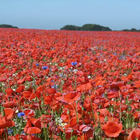 شقة Idyllisch Gelegene Ferienunterkuen